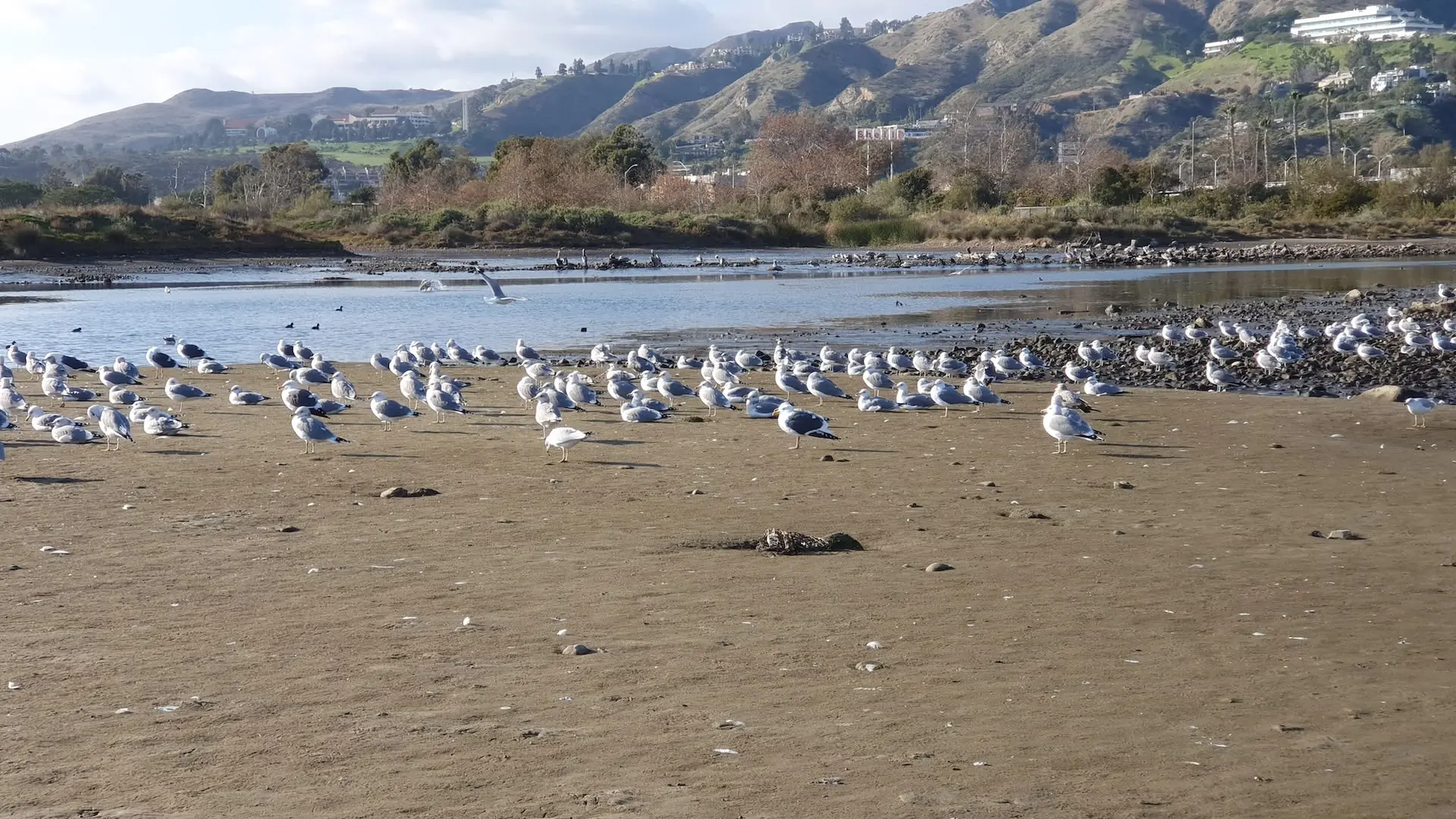 Explorează Malibu, California: Plaje, Gastronomie și Aventură