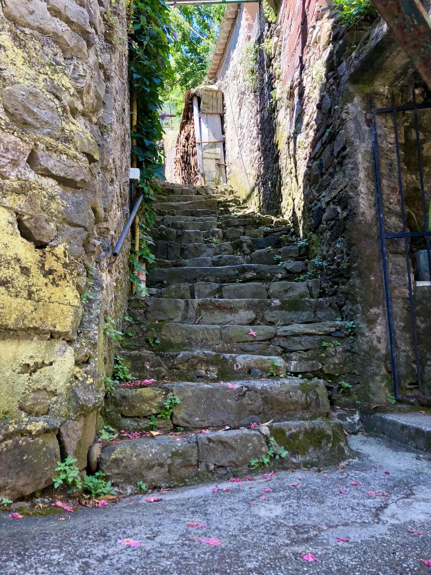 Descoperă Monterosso al Mare: Plaje, gastronomie și aventuri