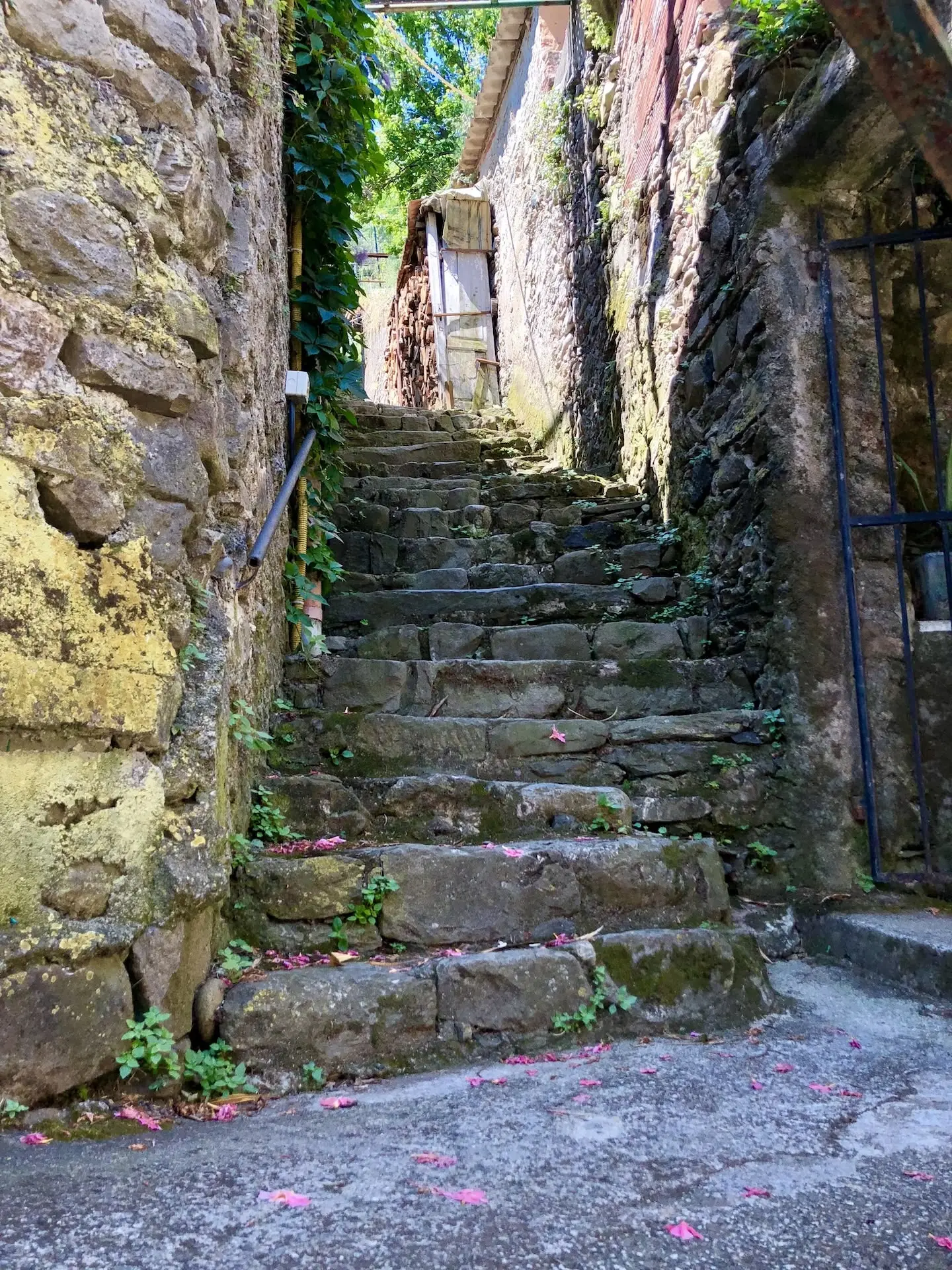 Descoperă Monterosso al Mare: Plaje, gastronomie și aventuri