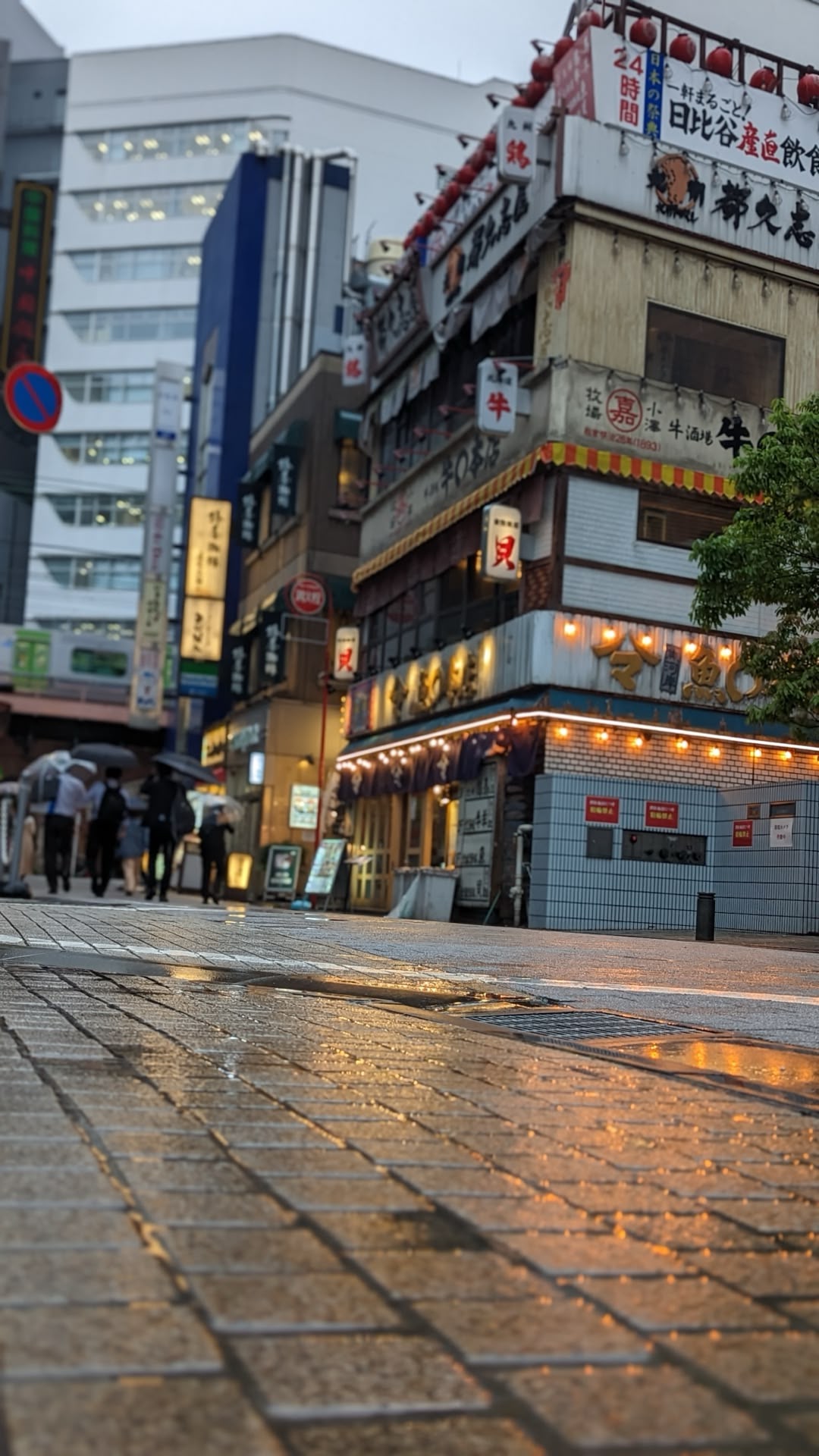 Ce sa faci in Tokyo?