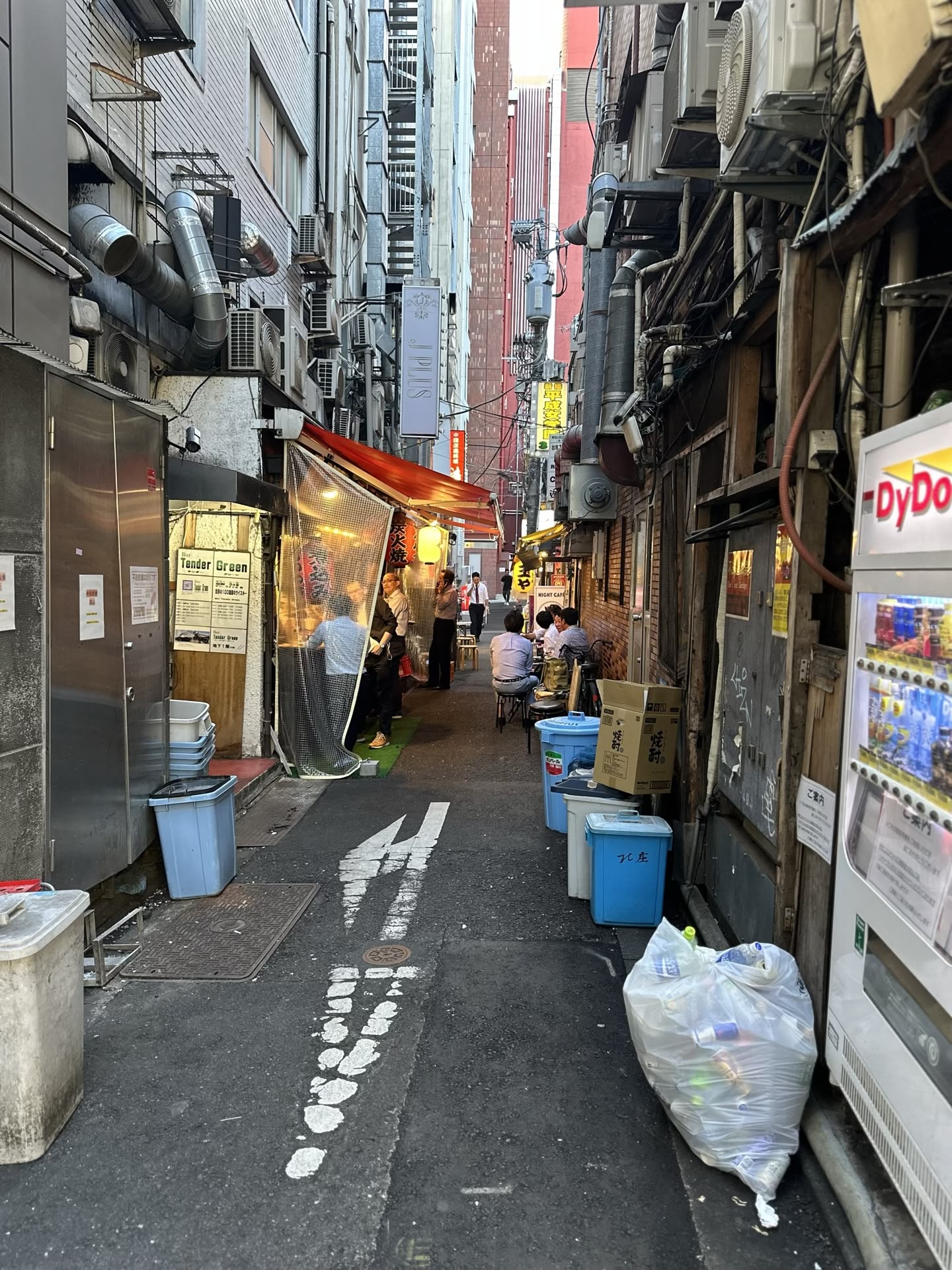 Ce sa faci in Tokyo?
