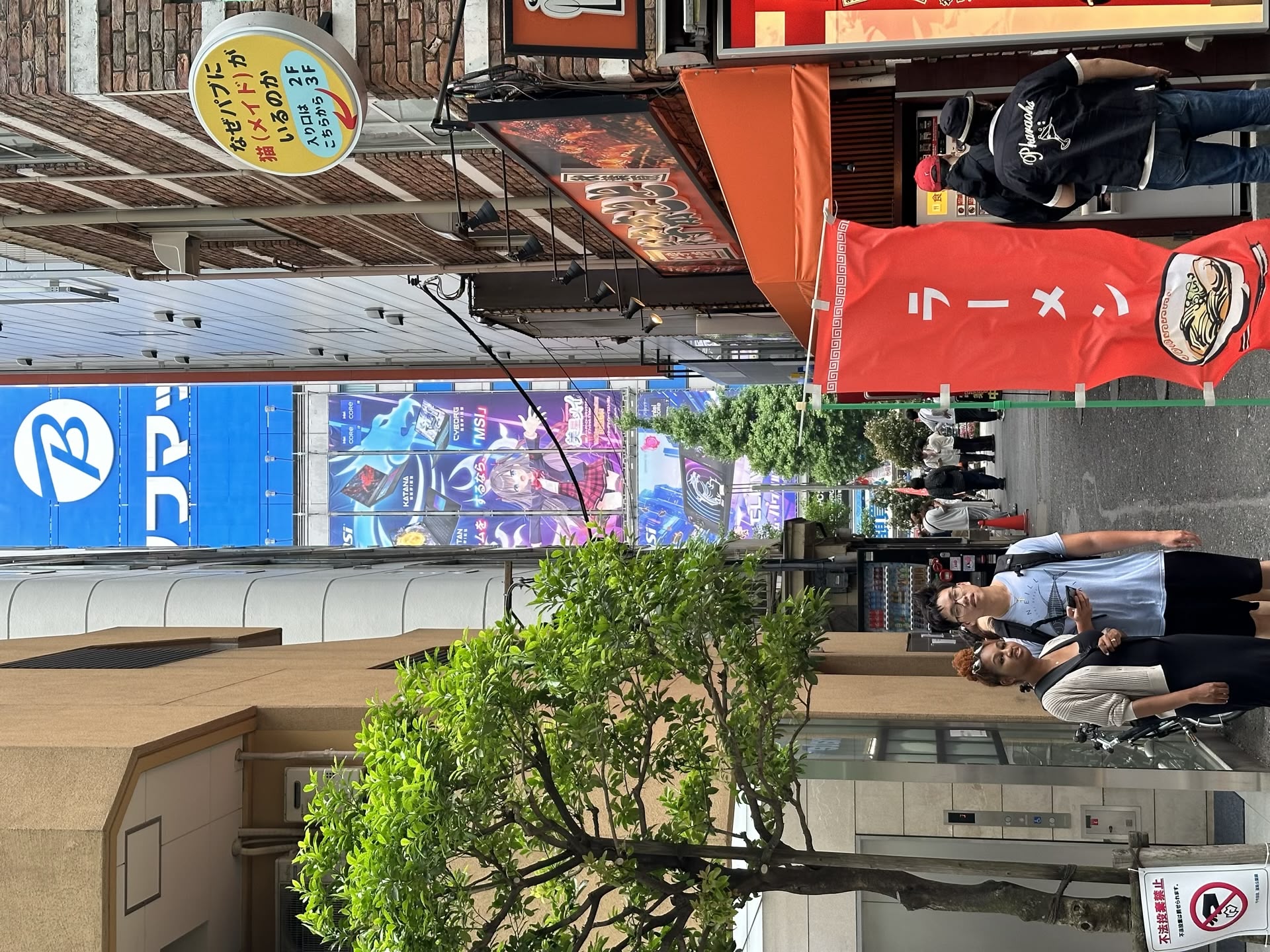 Akihabara: Paradisul electronic