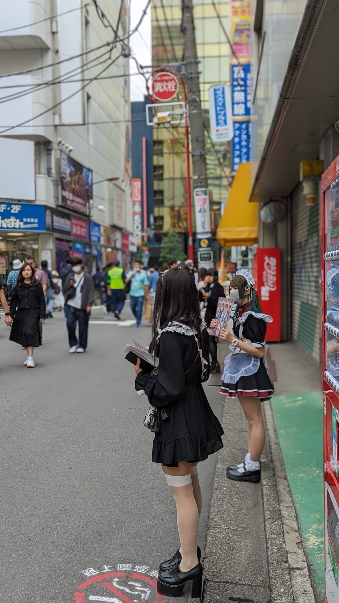 Akihabara: Paradisul electronic