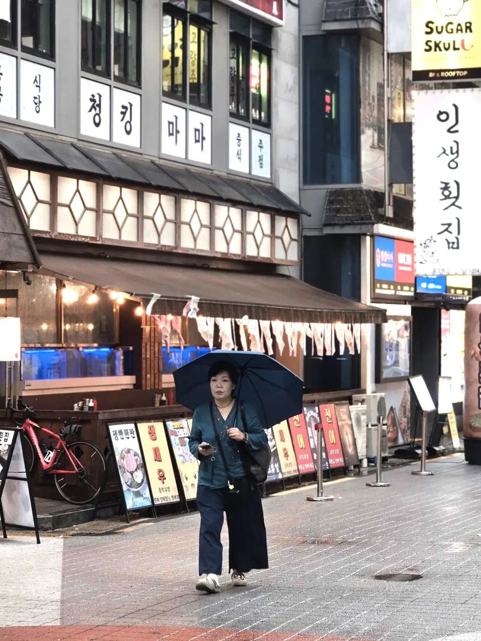 Seul vs. Tokyo: Experiența Mea Într-un Oraș Vibrant, Plin de Viață și Fără Google Maps (Ghid 2025)