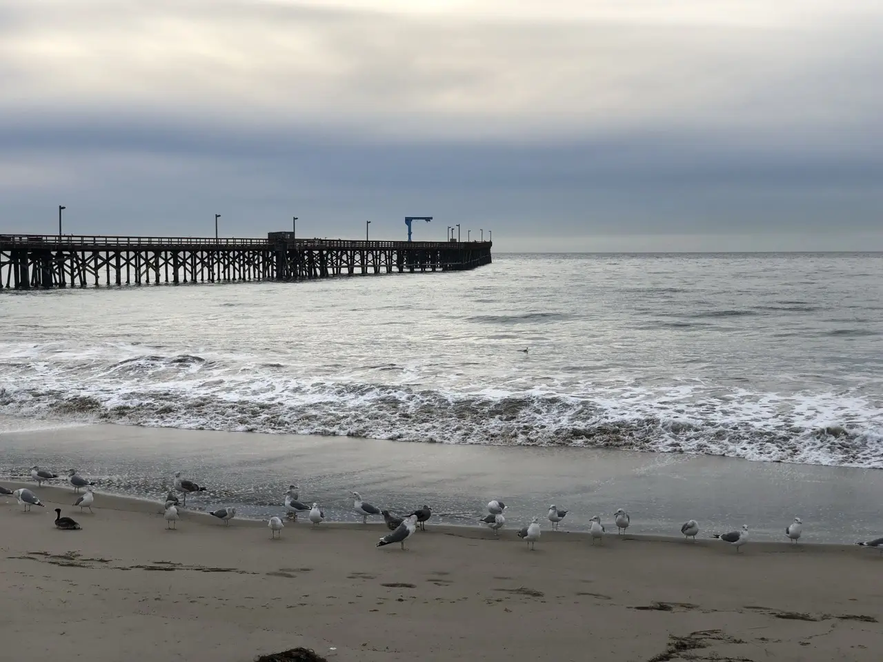 Image 8 for Santa Barbara: De ce este orașul meu preferat din California (Ghid de călătorie)