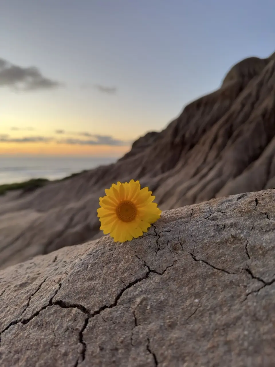 Image 6 for Sunset Cliffs Natural Park: Cel Mai Bun Apus din San Diego?