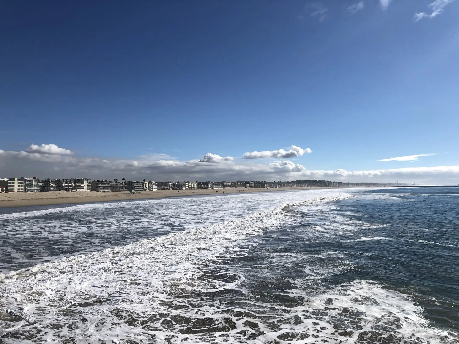 Image 2 for Venice Beach: Haosul Colorat pe Care L-ai Văzut în Toate Filmele