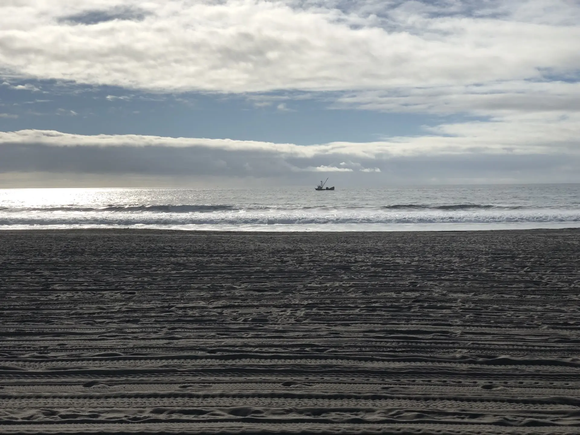 Image 5 for Venice Beach: Haosul Colorat pe Care L-ai Văzut în Toate Filmele