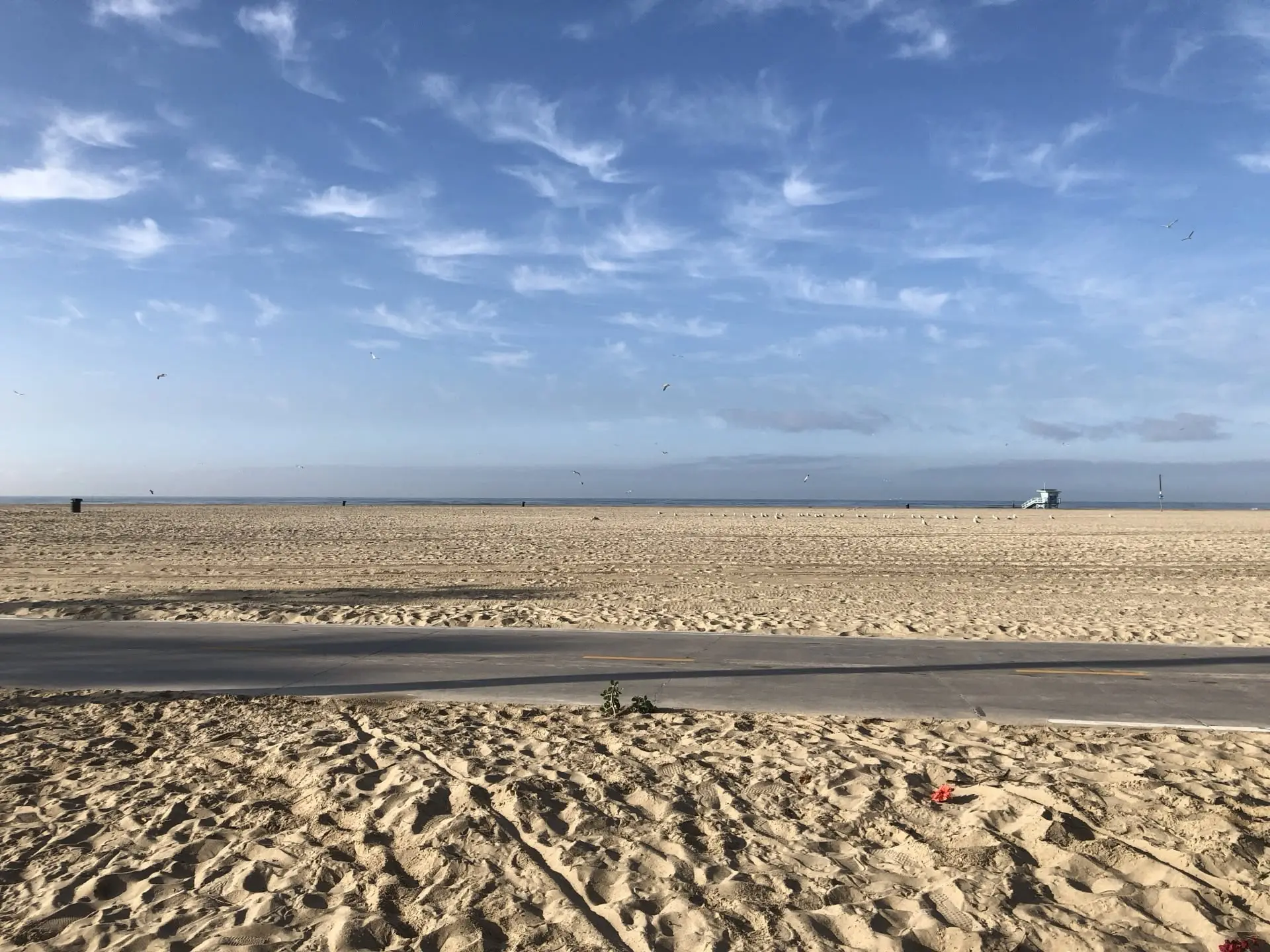 Image 8 for Venice Beach: Haosul Colorat pe Care L-ai Văzut în Toate Filmele