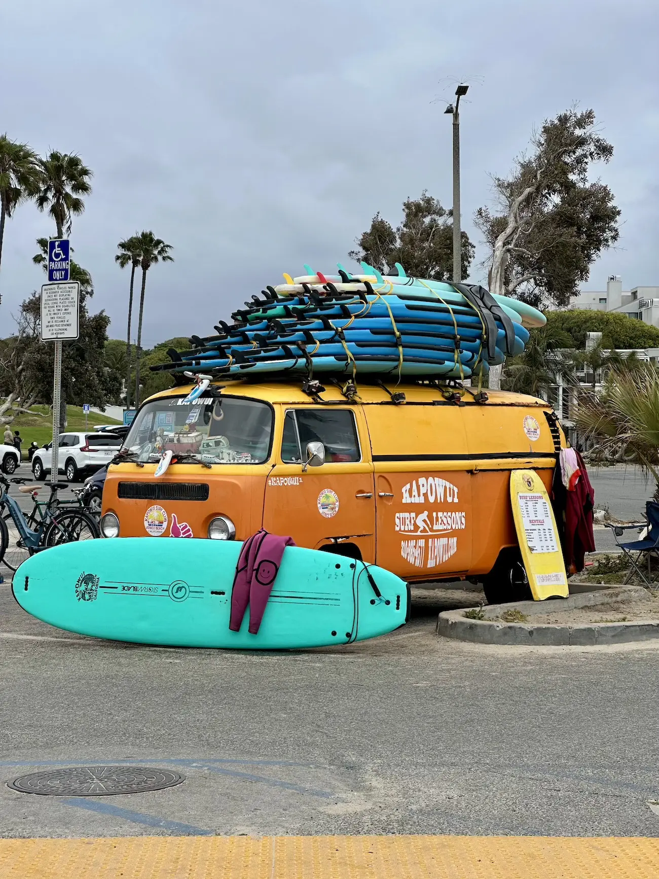 Image 5 for GT40:  California, itinerar și experiențe pe coasta de vest
