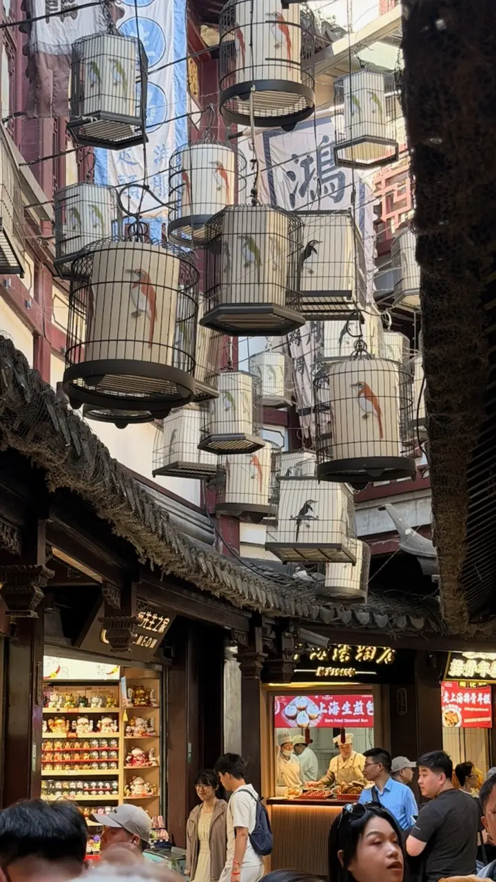 Image 14 for GT41:Asia | Shanghai: Ce-am învățat fără Google, fără recenzii și fără hărți